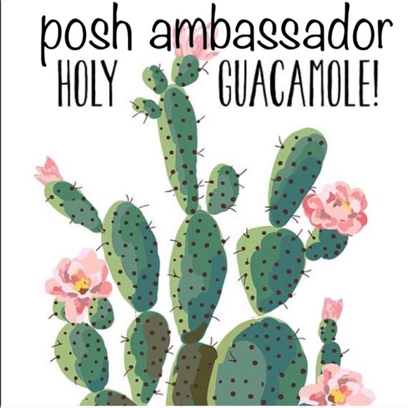 I’m a Posh Ambassador! - Picture 2 of 3